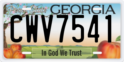 GA license plate CWV7541