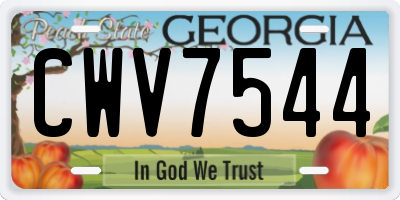 GA license plate CWV7544