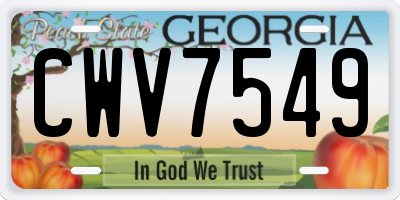 GA license plate CWV7549
