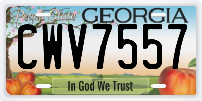 GA license plate CWV7557
