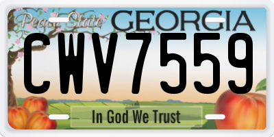 GA license plate CWV7559