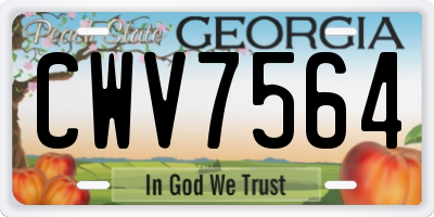GA license plate CWV7564