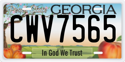 GA license plate CWV7565