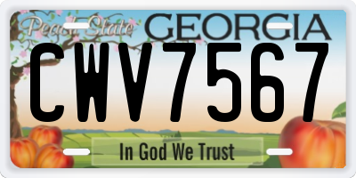GA license plate CWV7567