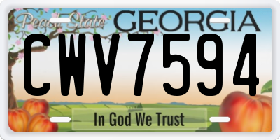 GA license plate CWV7594