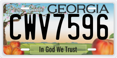 GA license plate CWV7596