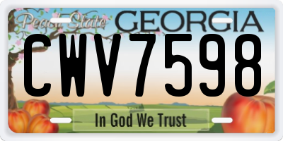 GA license plate CWV7598
