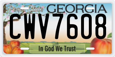GA license plate CWV7608