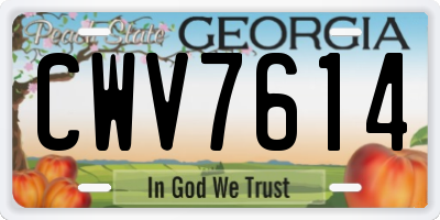 GA license plate CWV7614