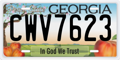 GA license plate CWV7623
