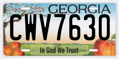 GA license plate CWV7630