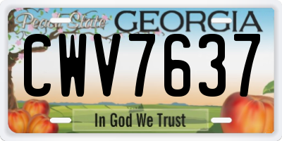 GA license plate CWV7637