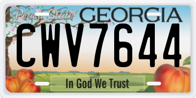 GA license plate CWV7644