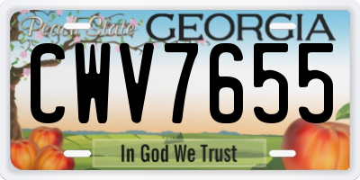 GA license plate CWV7655