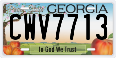 GA license plate CWV7713