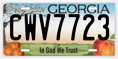GA license plate CWV7723