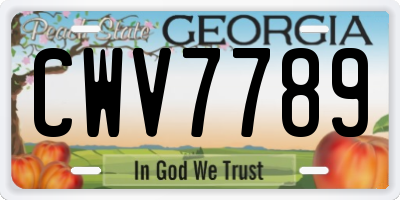GA license plate CWV7789