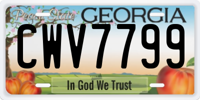 GA license plate CWV7799