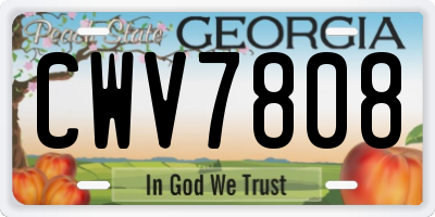 GA license plate CWV7808