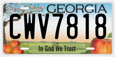 GA license plate CWV7818