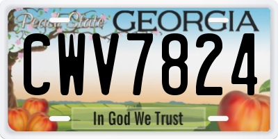 GA license plate CWV7824