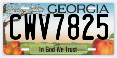 GA license plate CWV7825