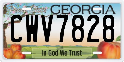 GA license plate CWV7828