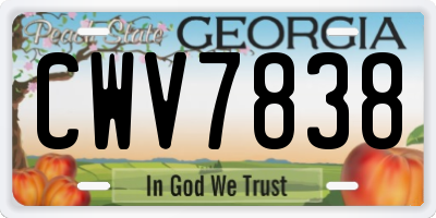 GA license plate CWV7838