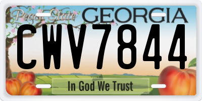 GA license plate CWV7844