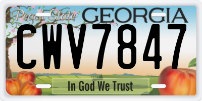 GA license plate CWV7847