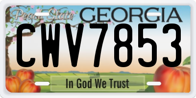 GA license plate CWV7853
