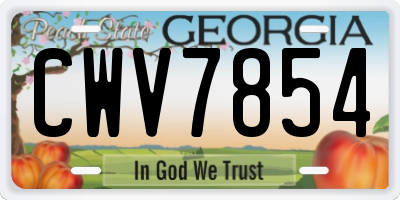 GA license plate CWV7854