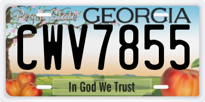 GA license plate CWV7855