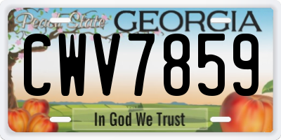 GA license plate CWV7859