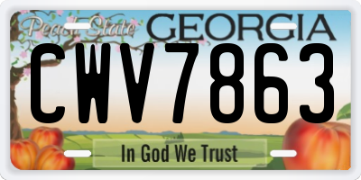 GA license plate CWV7863