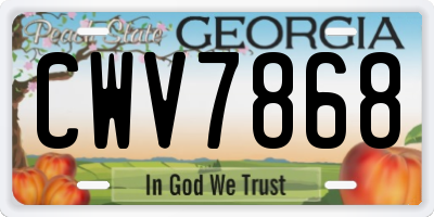GA license plate CWV7868