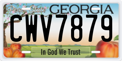 GA license plate CWV7879
