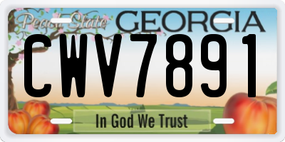 GA license plate CWV7891