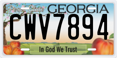 GA license plate CWV7894