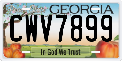 GA license plate CWV7899