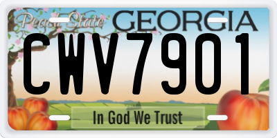 GA license plate CWV7901