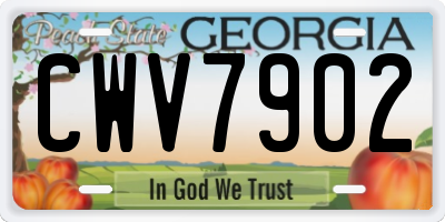 GA license plate CWV7902