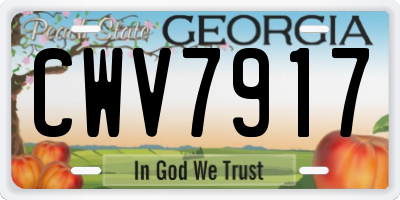 GA license plate CWV7917