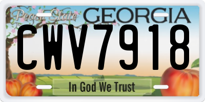 GA license plate CWV7918