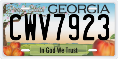 GA license plate CWV7923