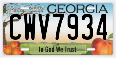 GA license plate CWV7934