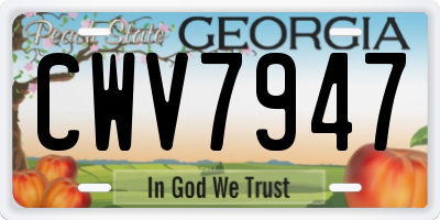 GA license plate CWV7947