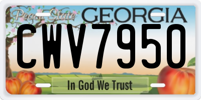 GA license plate CWV7950