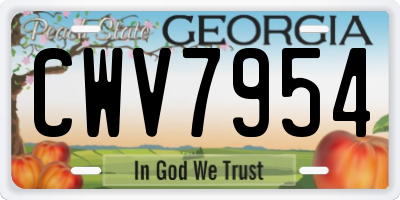 GA license plate CWV7954