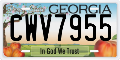GA license plate CWV7955